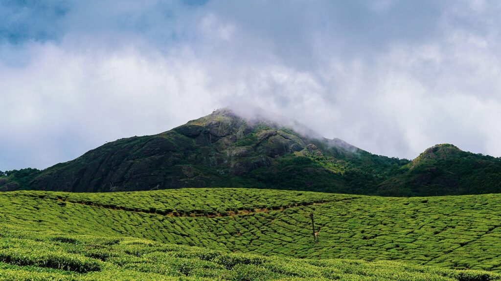Munnar, Kerala Munnar, Kerala