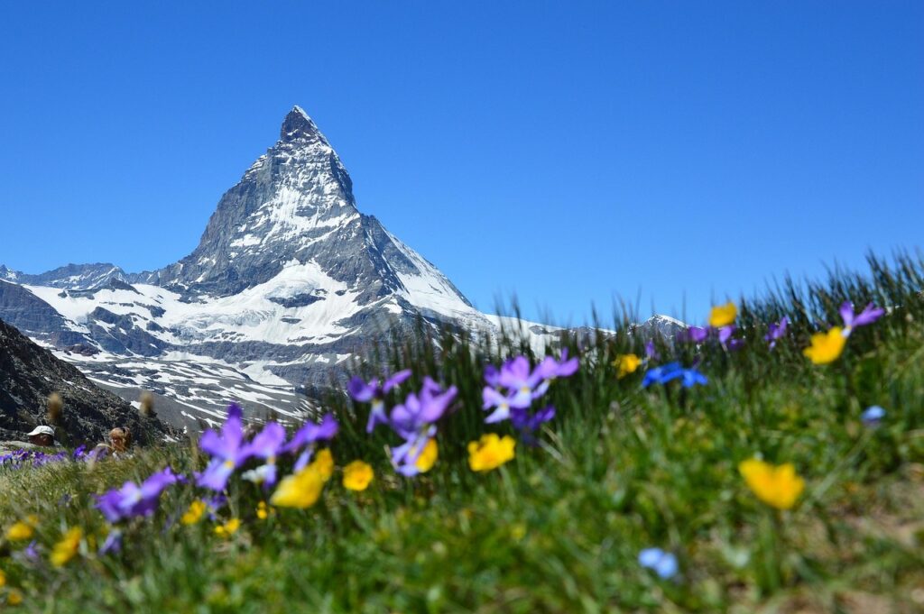 Valley of Flowers, Uttarakhand Valley of Flowers, Uttarakhand